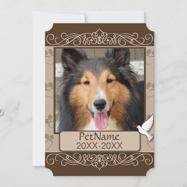 Brun calligraf Swirls Anpassningsbar Set Sympathy Kort (Framsida)