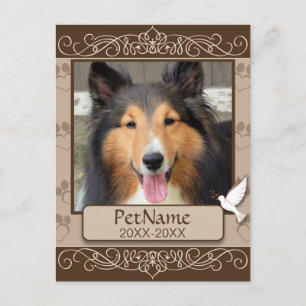 Brun calligraf Swirls Anpassningsbar Set Sympathy Vykort