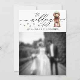 Brun Cavapoo-valp Bröllopsfoto Inbjudningar