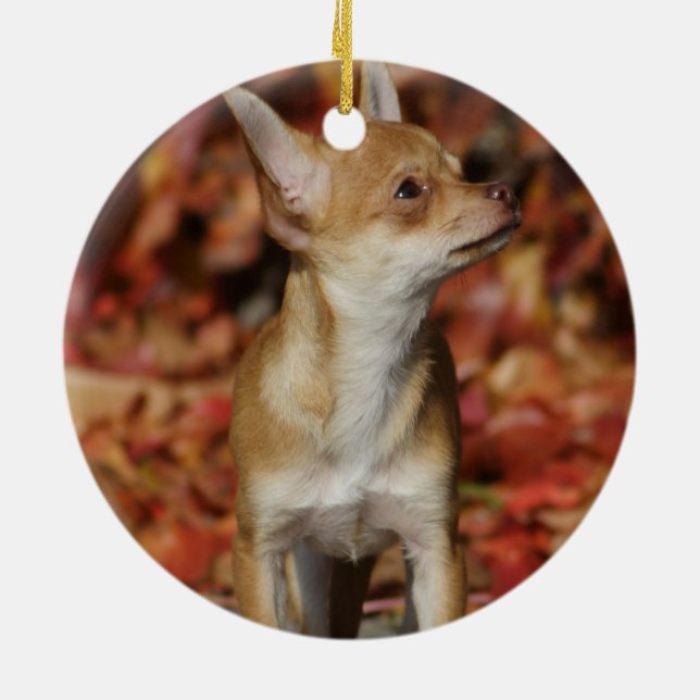 Brun Chihuahua-valp Julgransprydnad Keramik (Baksidan)