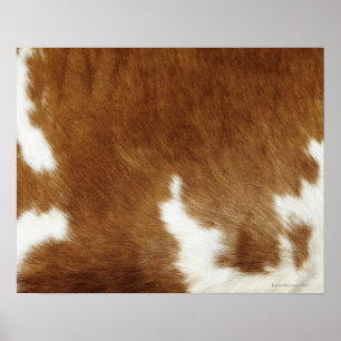 Brun Cowhidetryckaffisch Poster