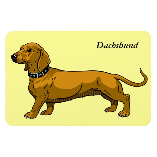 brun dachshund magnet (Horisontell)