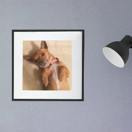 Brun Dachshund Valp Hund Bukläge Poster