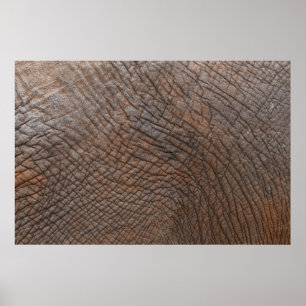 Brun elefant i nära foto poster