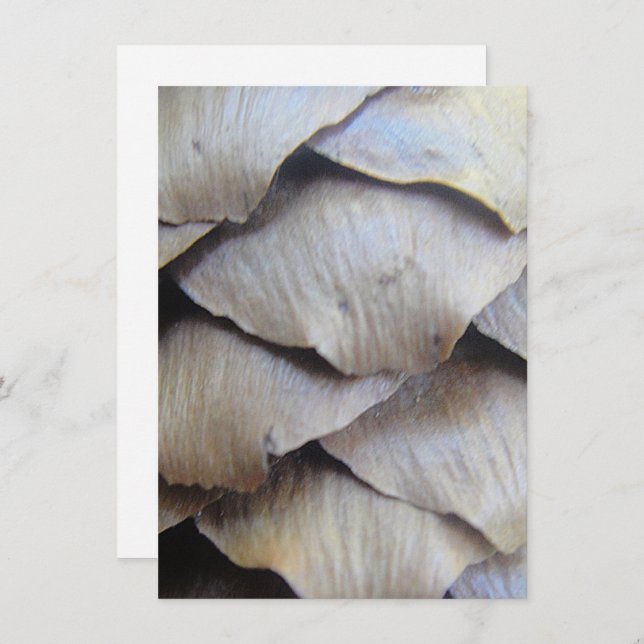 Brun fir cone mönster (Fram/baksida)