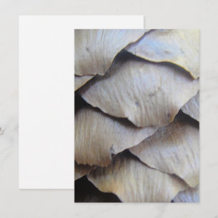 Brun fir cone mönster