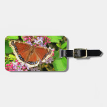 Brun fjäril med blåttfläckar