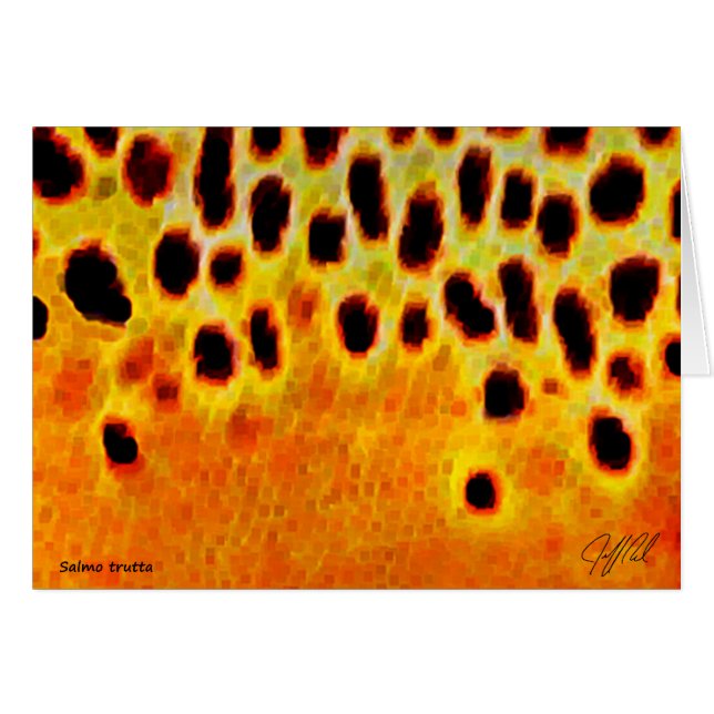 Brun forell - kort (Framsidan Horizontal)