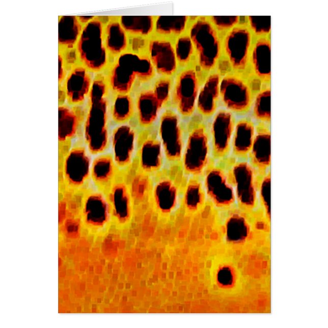 Brun forell - kort (Framsidan)