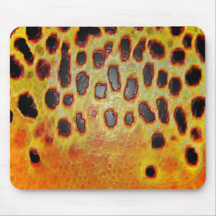 Brun forell - Mousepad Musmatta