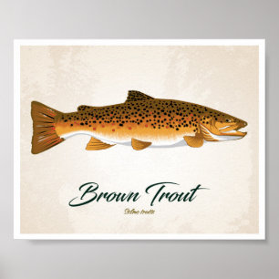Brun forell poster