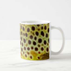 Brun forell vid PatternWear© Kaffemugg