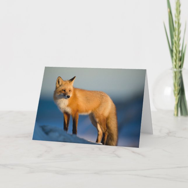 Brun fox-hälsningskort kort (Framsida)