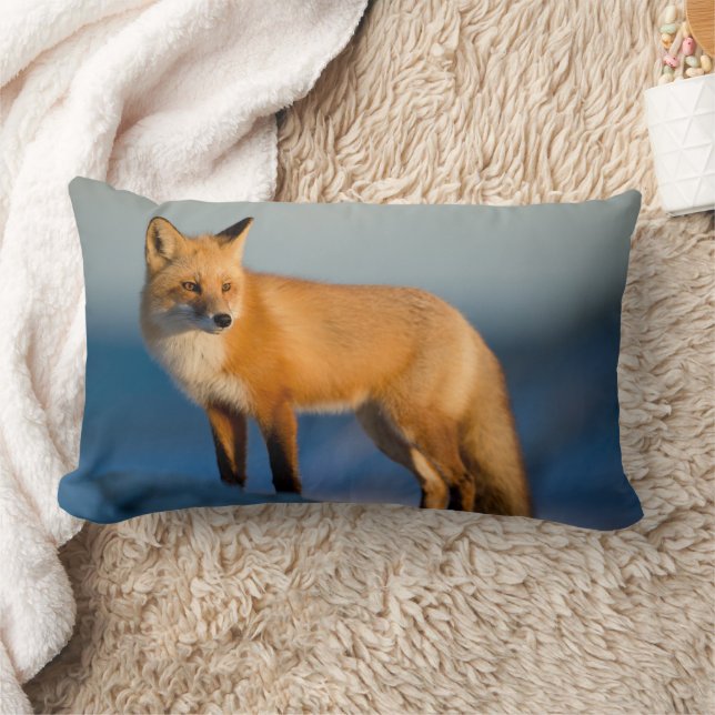 Brun foxlumbalfyllning lumbarkudde (Filt)