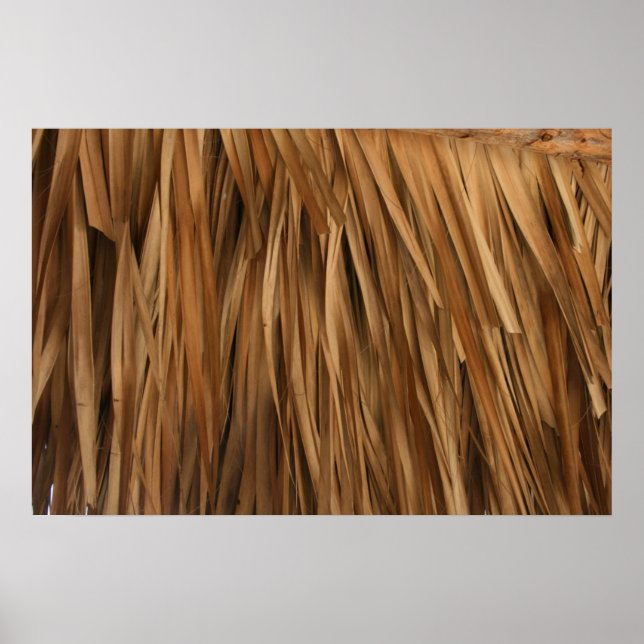 Brun frond tak mönster poster (Framsidan)