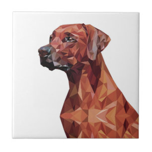 Brun geometrisk Hund Kakelplatta
