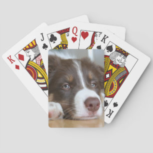 Brun Gräns Collie Hund Spelkort