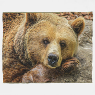 Brun Grizzlybjörn på ullfilten Fleecefilt