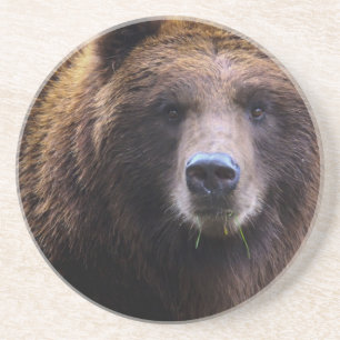 Brun Grizzlybjörn Underlägg Sandsten