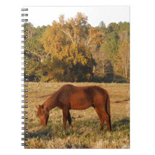 Brun häst i gult träd fält anteckningsbok med spiral