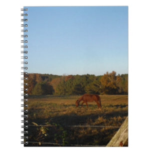 Brun häst i Sol Anteckningsbok Med Spiral