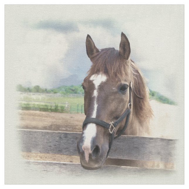 Brun häst med halteren tyg (Närbild)