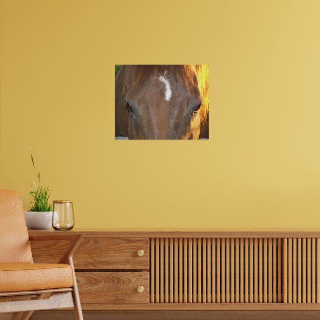 Brun häst med vit ansiktsmarkering Fotografisk Poster (Vardagsrum 2)