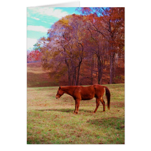 Brun häst på gräs fält hälsningskort (Framsidan)