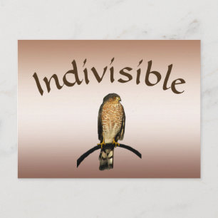 Brun Hawk Indivisible-vykort Vykort
