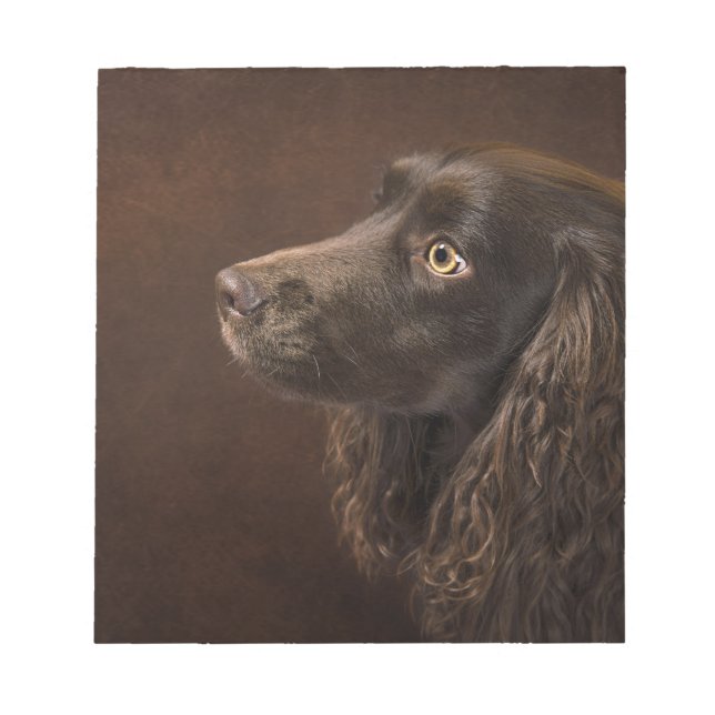 Brun Hund Anteckningsblock (Framsida)