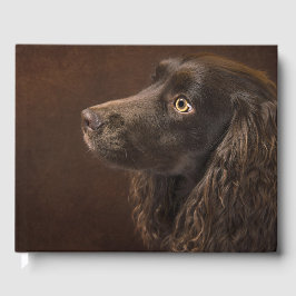 Brun Hund Gästböcker