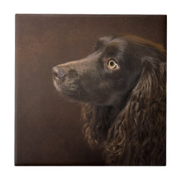 Brun Hund Kakelplatta