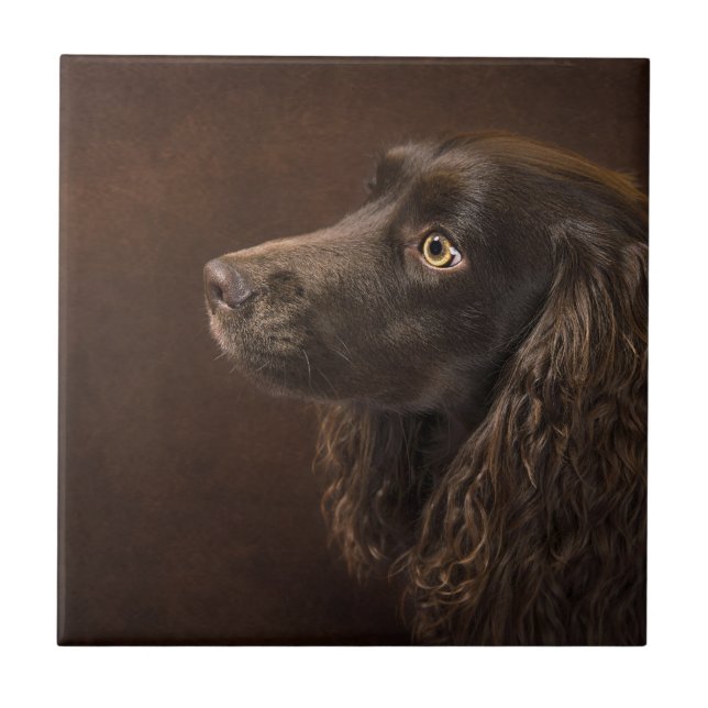 Brun Hund Kakelplatta (Framsidan)