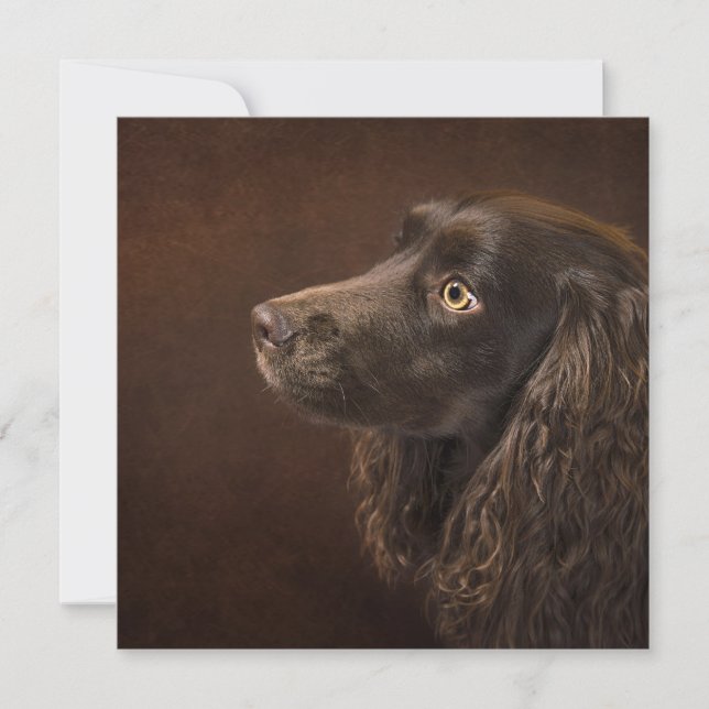 Brun Hund Kort (Framsida)