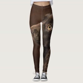 Brun Hund Leggings