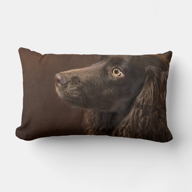 Brun Hund Lumbarkudde (Framsida)