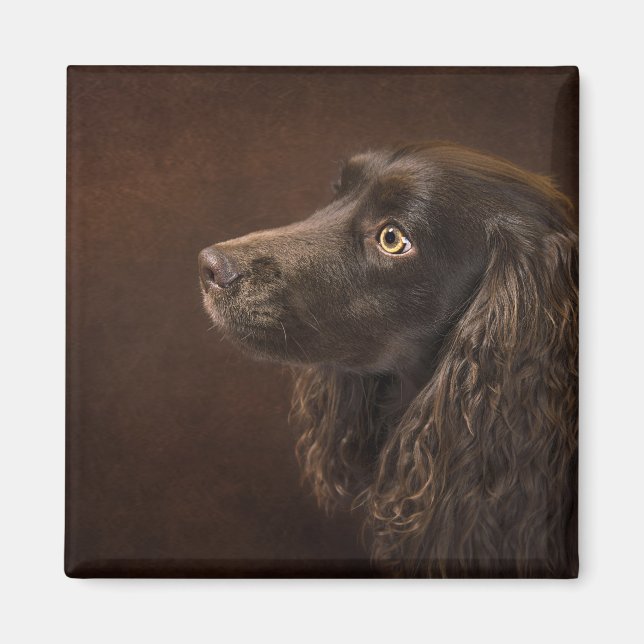 Brun Hund Magnet (Framsidan)