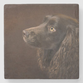 Brun Hund Stenunderlägg