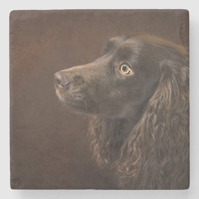 Brun Hund Stenunderlägg (Framsidan)