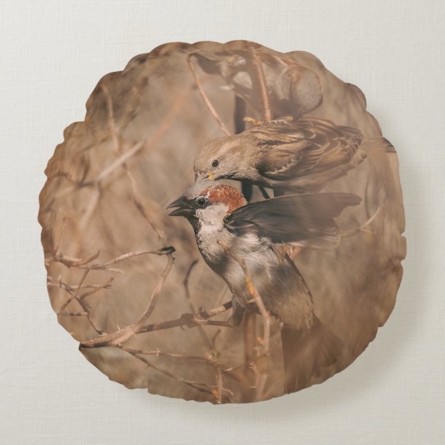 Brun Hus Sparvfåglar Naturfotografering Rund Kudde (Framsidan)