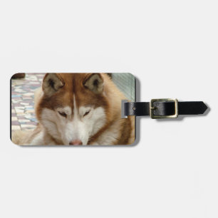 Brun Husky bagagemärkre Bagagebricka