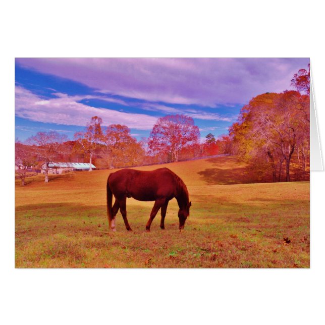 > Brun i en drömmande färgad fält Hälsningskort (Framsidan Horizontal)