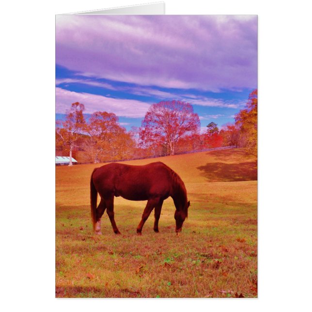 > Brun i en drömmande färgad fält Hälsningskort (Framsidan)