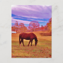 > Brun i en drömmande färgad fält Vykort