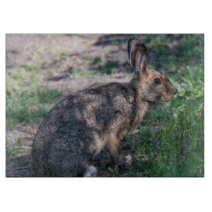 Brun kanin, naturreservat