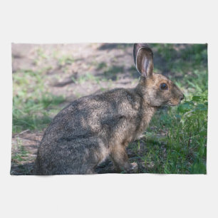Brun kanin, naturreservat kökshandduk