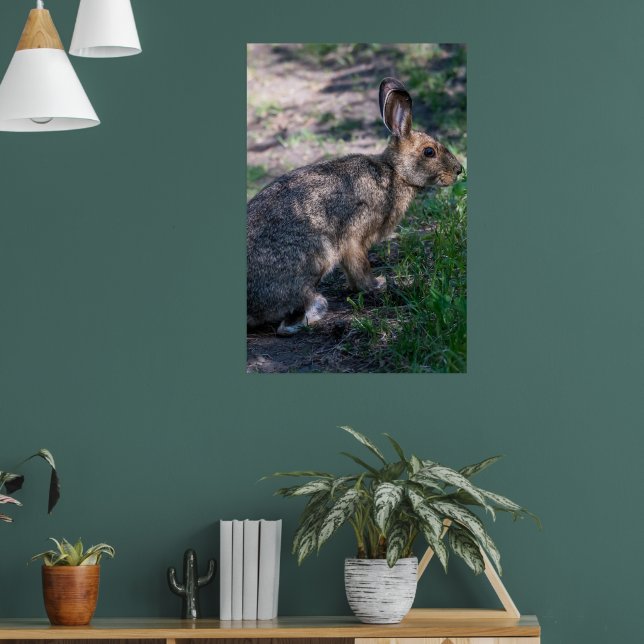 Brun kanin, naturreservat poster (Vardagsrum 1)