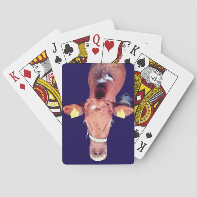 Brun ko casinokort (Baksidan)