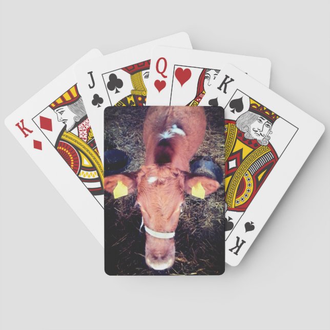 Brun ko casinokort (Baksidan)