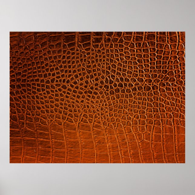 Brun krokodilläder poster (Framsidan)